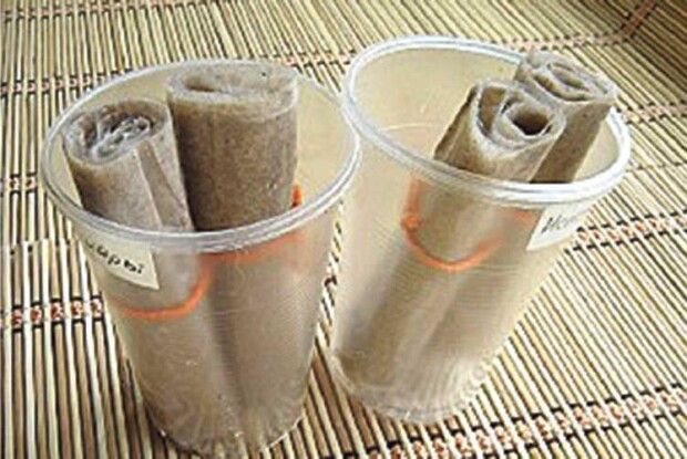 Господарські секрети: насіння – на туалетному папері