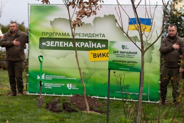 У селі на Волині висадили мільярдне дерево