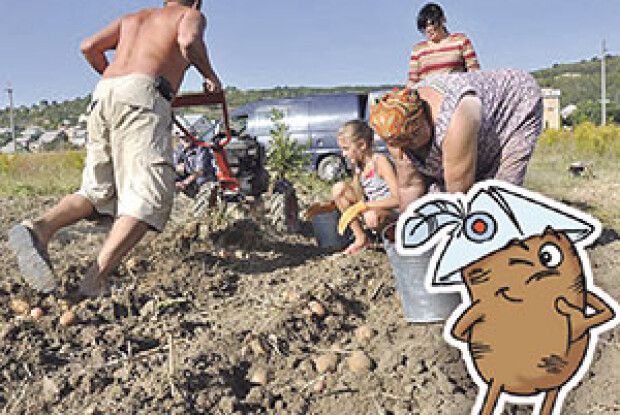 УСІ МИ БУЛЬБАСЬКОГО РОДУ!