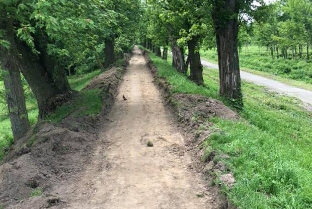 Показали, як у Луцьку доводять до ладу парк