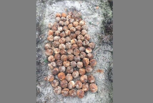 На Волині знищили 111 боєприпасів часів Першої та Другої Світових воєн