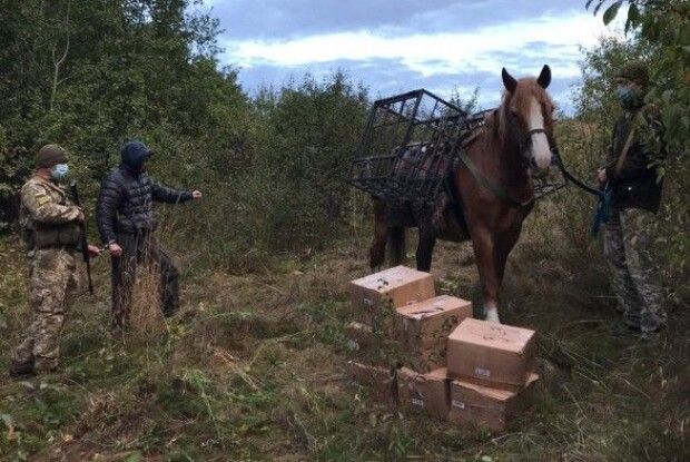 Чоловік конем намагався переправити з Росії до України контрабанду тютюну