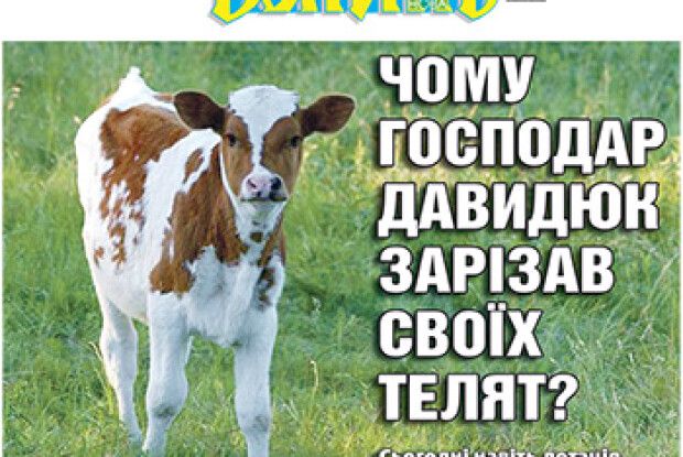 ЧОМУ ГОСПОДАР ДАВИДЮК ЗАРІЗАВ СВОЇХ ТЕЛЯТ?