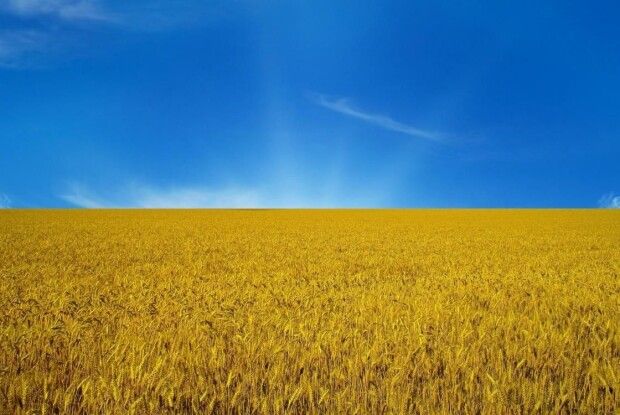 Загарбники готують провокації до Дня незалежності України