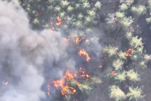 Бійці з Волині знищили БМД окупантів (Відео)