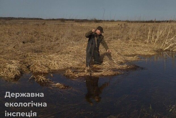 Від Шацька до Рожища: волинські інспектори перевірили ліси та водойми