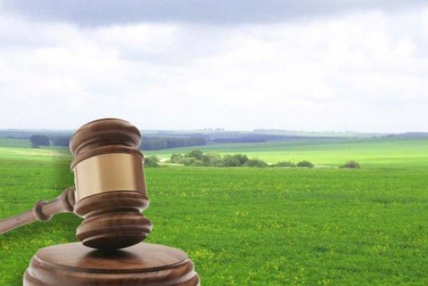 У Маневицькому районі у державну власність повернули 5 земельних ділянок