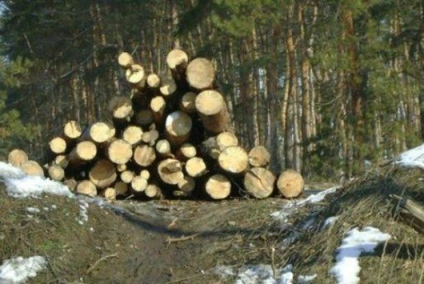 Сільського голову на Волині судитимуть за хабар та підробку
