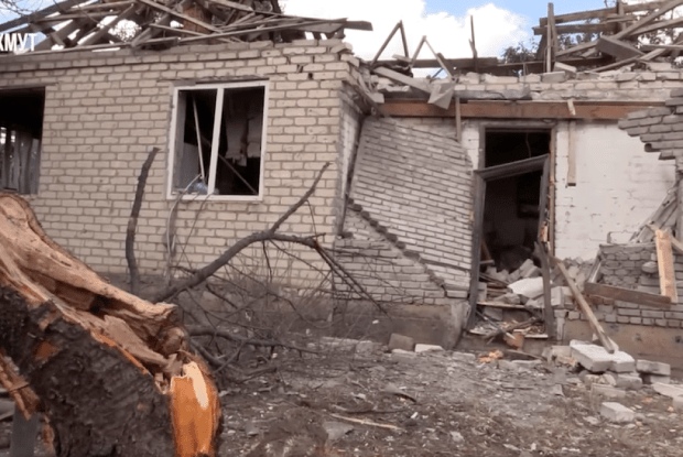 Після російських обстрілів неподалік Бахмута живцем згоріли пів сотні корів