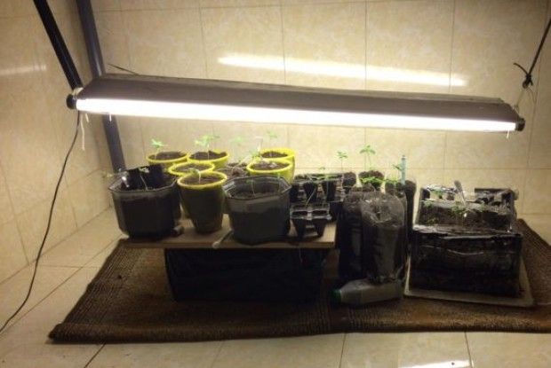 Чоловік виготовляв амфетамін та вирощував коноплю (ФОТО)