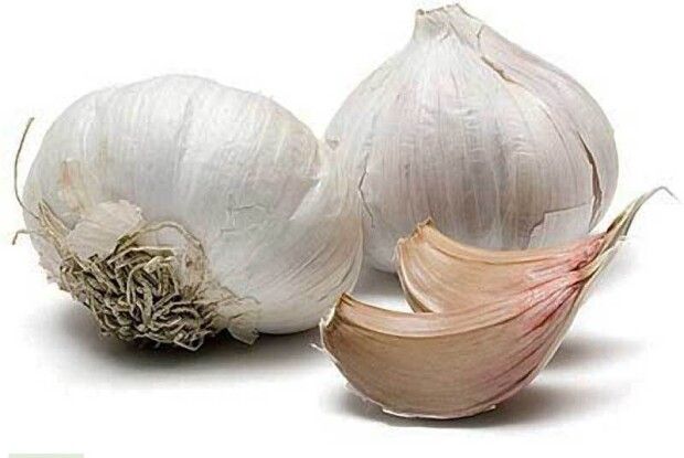 Підказка господарям: трухляві пні можуть стати добривом для городини