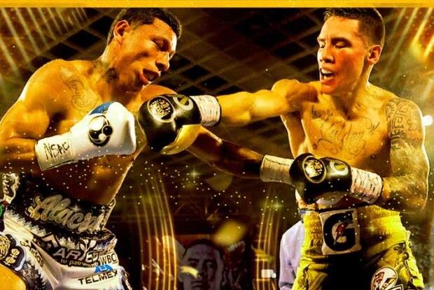 Удар на межі смерті: WBC назвала найкращий нокаут 2021 року (Відео)