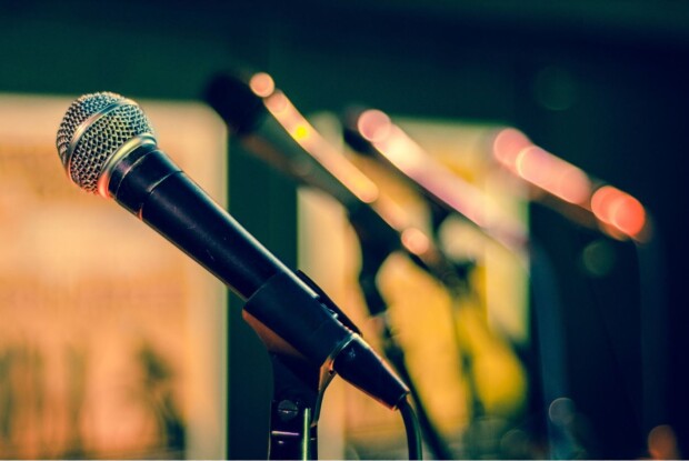 У Горохові планують щороку проводити масштабний музичний фестиваль (Фото, відео)