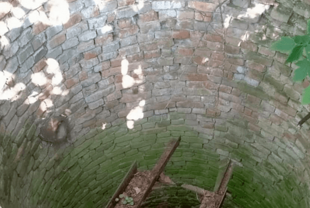 Як на Рівненщині рятувальники витягували чотирилапого жителя області із закинутого колодязя (Фото)