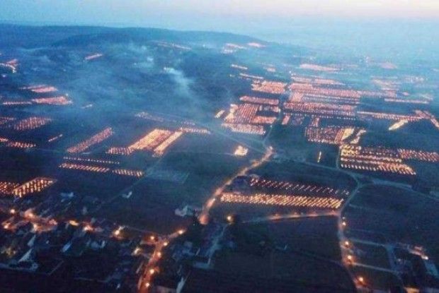 У Франції масово палять вогнища на виноградниках