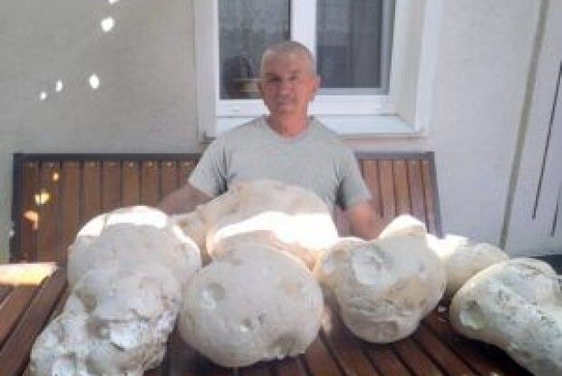 Чоловік знайшов сім велетенських дощовиків