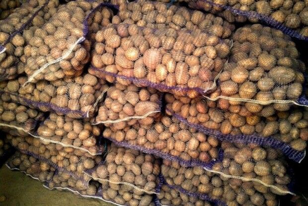 На Волині сталася бійка під час… купівлі-продажу картоплі