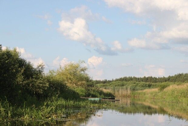Малі річки Полісся: 44-клометрова Користинка несе свої води в озеро Люб’язь
