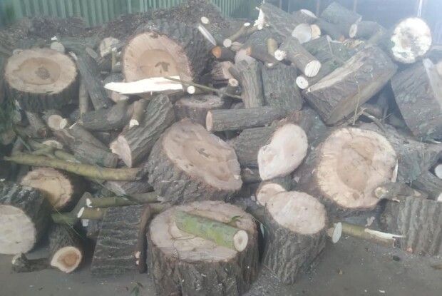 Луцьким Мурчикам та Барбосам підкинули дровенят до опалювального сезону