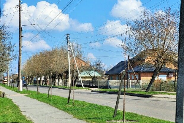 Ще на одній вулиці Ковеля цвістимуть сакури