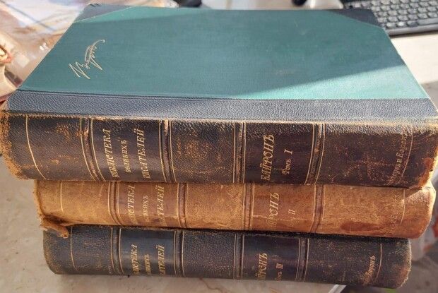 Волинські митники запобігли вивезенню за кордон антикваріатних цінностей (Фото)