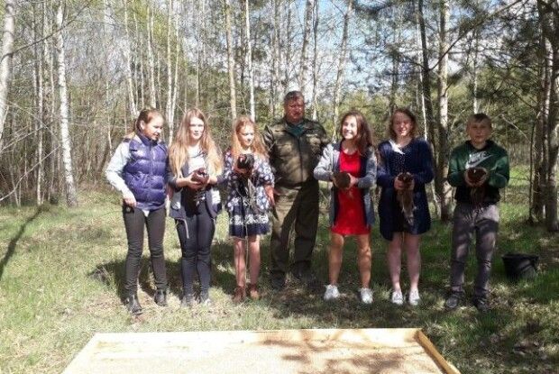У маневицькі ліси випустили фазанів