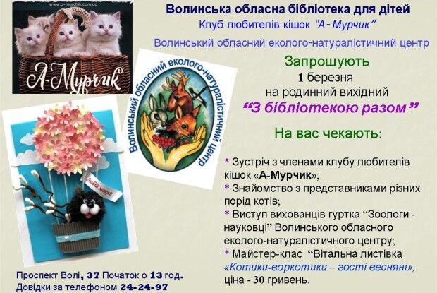 1 березня владу в Луцьку візьмуть у свої лапки коти