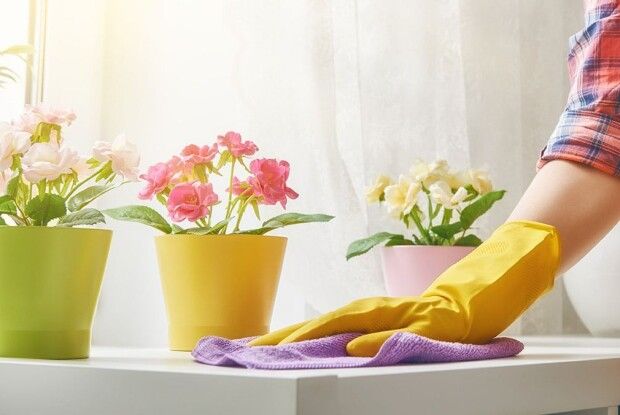 У ПЦУ закликали в Чистий четвер не лише мити вікна і пекти паски