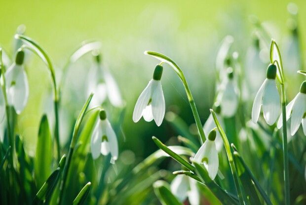 Якою буде погода у найближчі дні на Волині