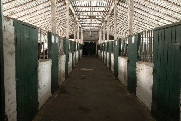 На Рівненщині на продаж виставили іподром з кіньми