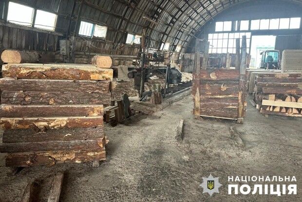 На Волині організатор схеми викрадення лісу на 6,4 мільйона після затримання наклав на себе руки
