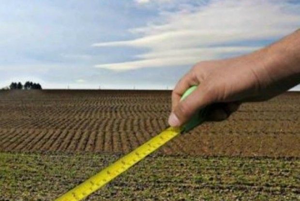 Волинське сільгосппідприємство зобов’язали повернути самозайняту землю