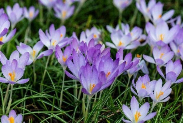 Якою буде сьогодні погода на Волині 