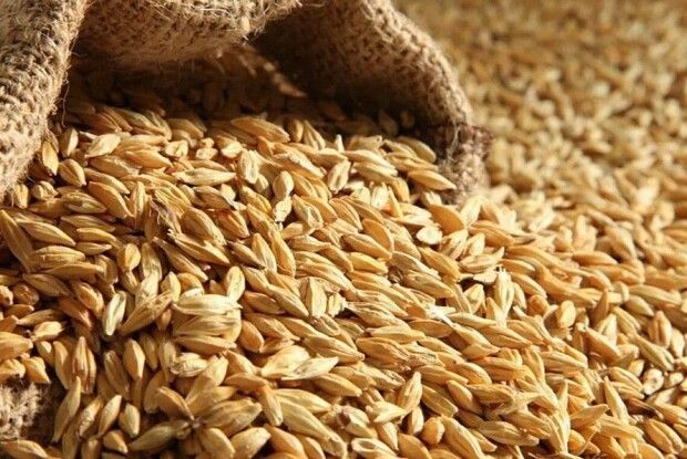 Туреччина затримала російське судно з українським зерном