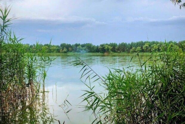 Рожищан сьогодні кличуть на толоку біля озера