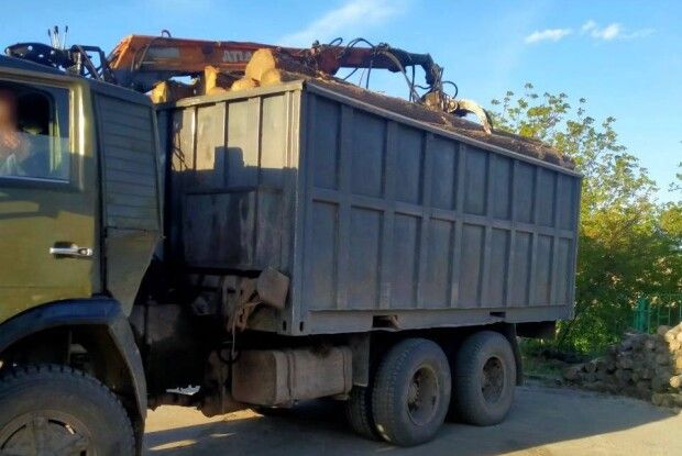 На Волині затримали автомобіль завантажений деревиною (Фото) 