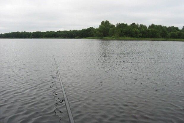 У заказнику на Волині засікли рибалку із забороненим знаряддям лову