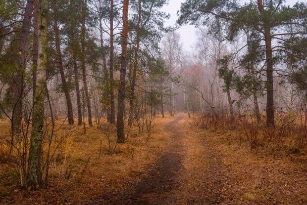 Чим здивує погода в ці дні волинян