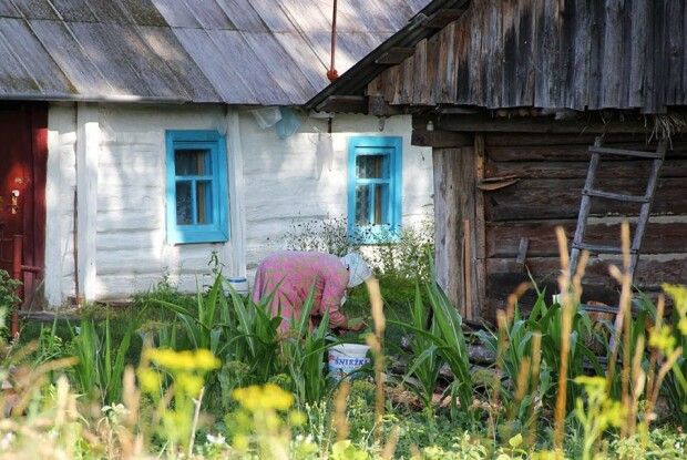 Волинський фотограф показав чарівні пейзажі Полісся влітку