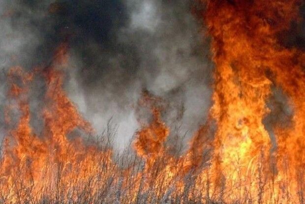 396 гектарів попелу: Волинь посилює протипожежну оборону