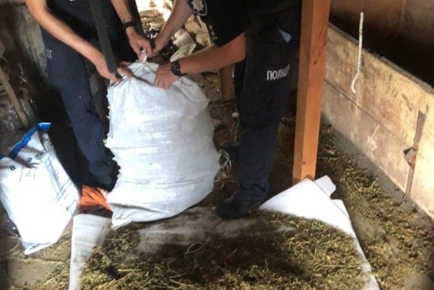 У рівнянина знайшли мішок коноплі (Фото)