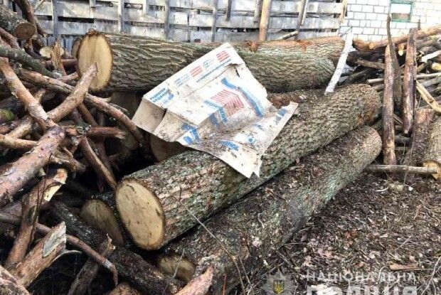 У Дюксині поліція знайшла за хлівом дюжину дубових колод (фото)