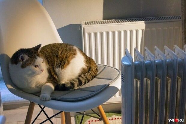 У Луцьку затвердили нові тарифи на тепло