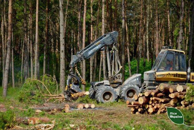 Харвестери та форвардери: машини, що допомагають волинським лісівникам (Фото)
