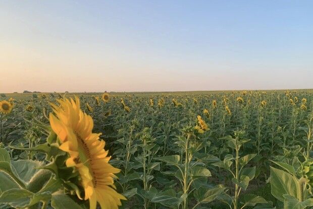 Синоптики на Волині попереджають про грозу