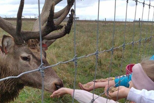 На Волині дітям загиблих воїнів організували цікаву екскурсію