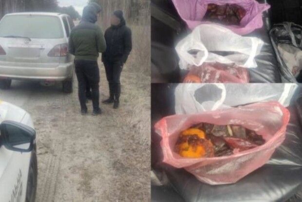 На трасі на Рівненщині зупинили «Lexus» із майже 7,5 кілограма бурштину