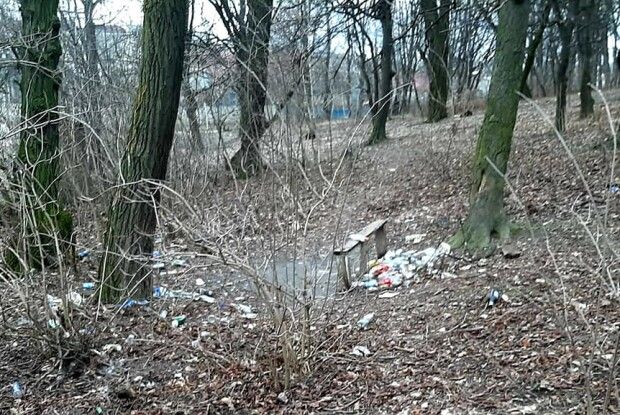 У місті на Волині історичний Графський парк перетворився у засмічені хащі (Фото)