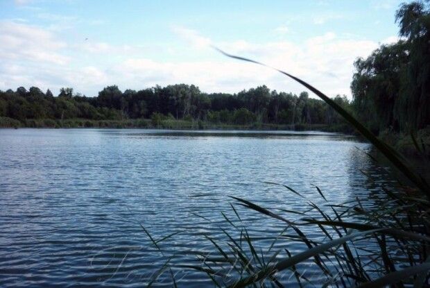 На Маневиччині державі повернуть ставок площею понад 40 га