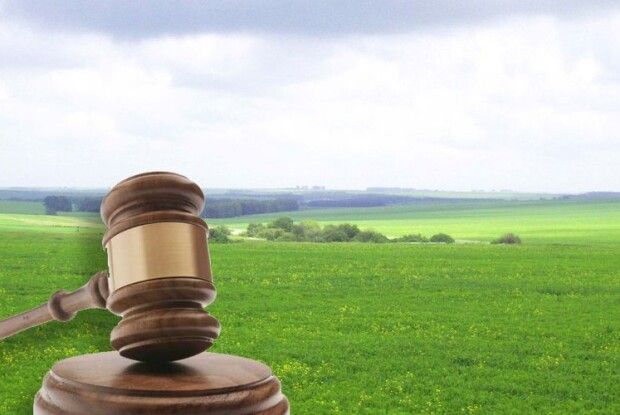 16 гектарів волинського лісу, які хотіли зробити «сільгоспземлею», повернуто державі